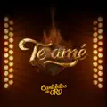 Te Amé