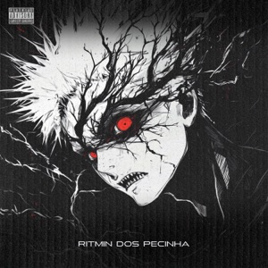 Ritmin dos Pecinha (feat. MC RUAN BF & DJ JOTA ORIGINAL)