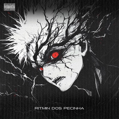 Ritmin dos Pecinha (feat. MC RUAN BF & DJ JOTA ORIGINAL) - Single