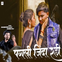 Pagli Jinda Rahi - Single - Dharmveer Ujala & Garima Raj