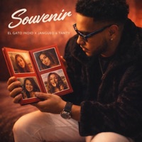 SOUVENIR - Single - El Gato Indio, Tanty & Jangueo DomiMusic