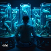 curto-circuito (Katy da Voz e as Abusadas & Clementaum RMX) - Single - Chameleo, Katy da Voz e as abusadas, Clementaum & Yajaira La Beyaca