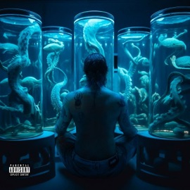 curto-circuito (Katy da Voz e as Abusadas & Clementaum RMX) Chameleo, Katy da Voz e as abusadas, Clementaum & Yajaira La Beyaca