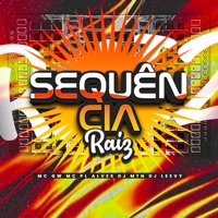 Sequência Raiz - Single - DJ MTN, DJ LEEVY, mc pl alves & MC GW