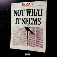 NWIS - Single - Paidfeli