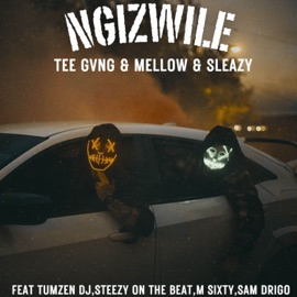Ngizwile (feat. Tumzen DJ, Steezy on the beat, Sam drigo & M sixty) TEE GVNG & Mellow & Sleazy