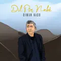 Dil Pîr Nabê