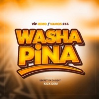 Washa pina (feat. Vip Jemo) - Single - Vamos 256