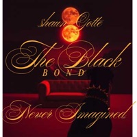 Never Imagined (Re-Imagined) - Single - $hAUN GOTTE