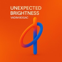 Unexpected Brightness - Single - Vadim Bogac