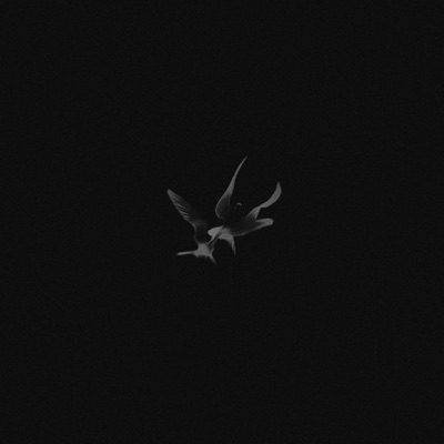 Bird (feat. Goremadeit) - Single