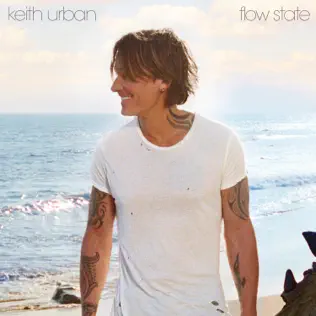 Keith Urban – We Go Back (feat. Michael McDonald) – Pre-Single (2026)