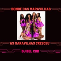 As Maravilhas Cresceu - Single - DJ BEL DA CDD & Bonde das Maravilhas