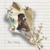 Bee Sting - Single