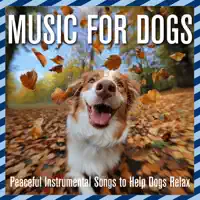 Doggy Sleep — Dog Music