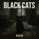 Black Cats Single