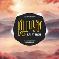 Lỗi Duyên Tại Ý Trời (Remix) - Single - TVK, Huỳnh Như Mộng & Beta Remix