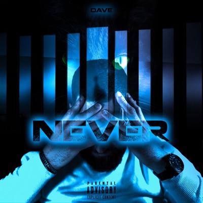 Never - Single