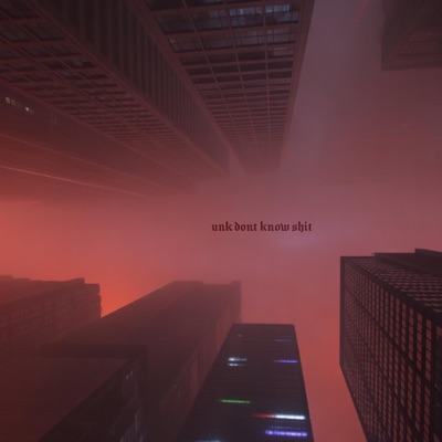 Unk Don't Know Shit - Single