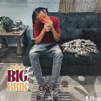 Big Brik - Single - Quila