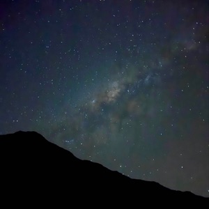 The Midnight Walker - Single