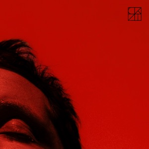 Nothing but Love - Single