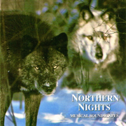 Northern Nights (Musical Soundscapes) - Jonas Kvarnström & Stefan Schramm