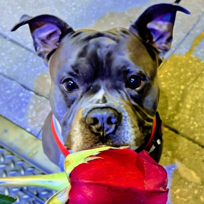 Enough (feat. D@OtherGuy Tk$ & t3mp0) - Single