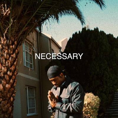 Necessary - Single