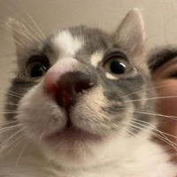 Picture Perfect (feat. Luvfredo) - Single - SILVER!