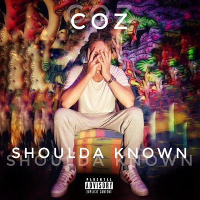Shoulda Known - Single