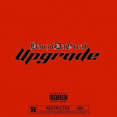 Upgrade - Single
