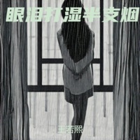 眼泪打湿半支烟 - Single - 王若熙
