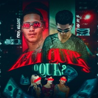 Ela quer o quê? (feat. Vulgo DJ) - Single - MC Mn do IB