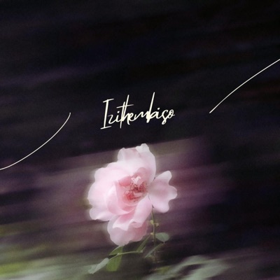 Izithembiso (feat. Inkanyezikamama & Mdue sings) - Single