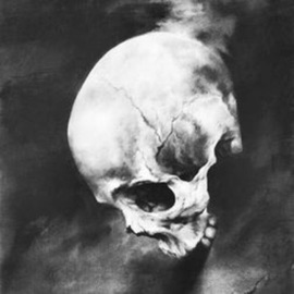 Echoes In a Hollow Skull Frander