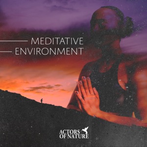 Meditative Environment