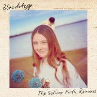 The Solway Firth Remixes - Bloodstepp