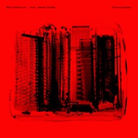 CHOREA DUPLEX (feat. James Holden) - Single - Mario Batkovic