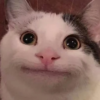 Dipace Giri - Two Cats Meowing/Talking Meme