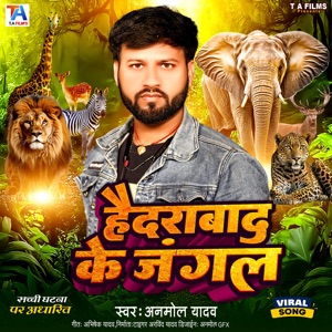 Hyderabad Ke Jagal
