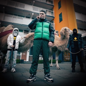 BANDITO