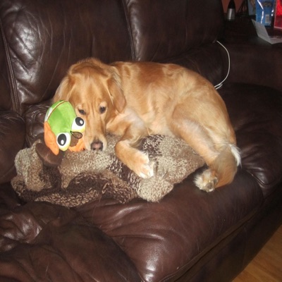 wish (feat. xxlfrcsty) - Single