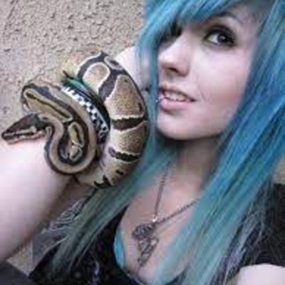 forestbusiness #DemonDogBitesUrHandsOff (spotify exclusive) - Single