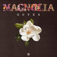 Magnolia - Single - Gotex