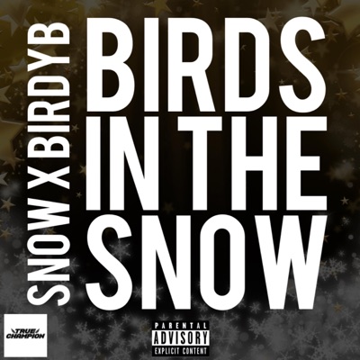 Birds In The Snow
