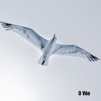 O Vôo - Single - DJ Felix
