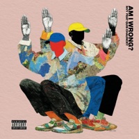 Am I Wrong? - Single - Nvy