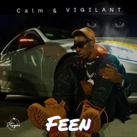 Calm & Vigilant Feen