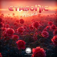 Roses - Etasonic